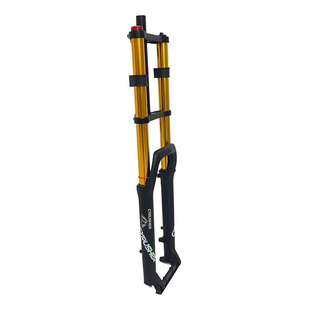 Fourche avant pour XF900 - Image 3
